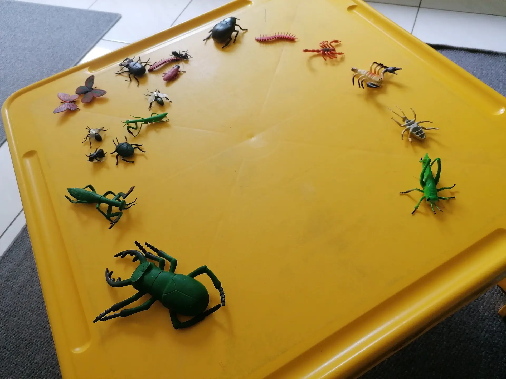 Toy bugs on the sensory table